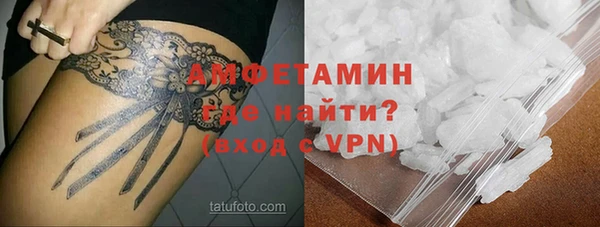 гашик Алексеевка