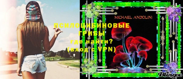 ГАЛЛЮЦИНОГЕННЫЕ ГРИБЫ Алексин
