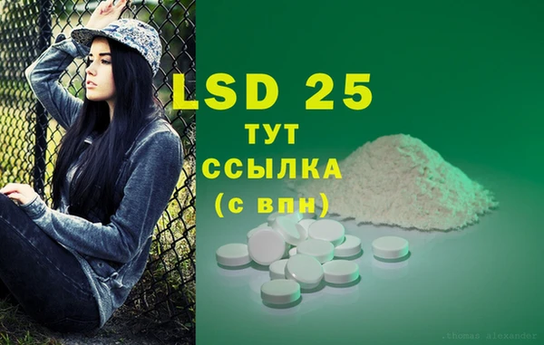 ГАЛЛЮЦИНОГЕННЫЕ ГРИБЫ Алексин