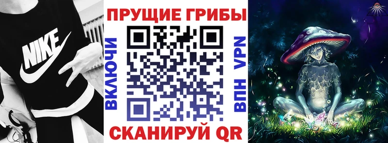 Купить где Волжск Галлюциногенные грибы GOLDEN TEACHER